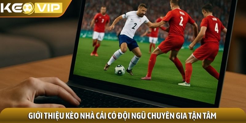 Giới thiệu kèo nhà cái có đội ngũ chuyên gia tận tâm