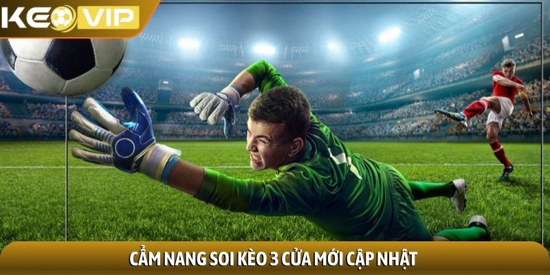 Cẩm nang soi kèo 3 cửa mới cập nhật