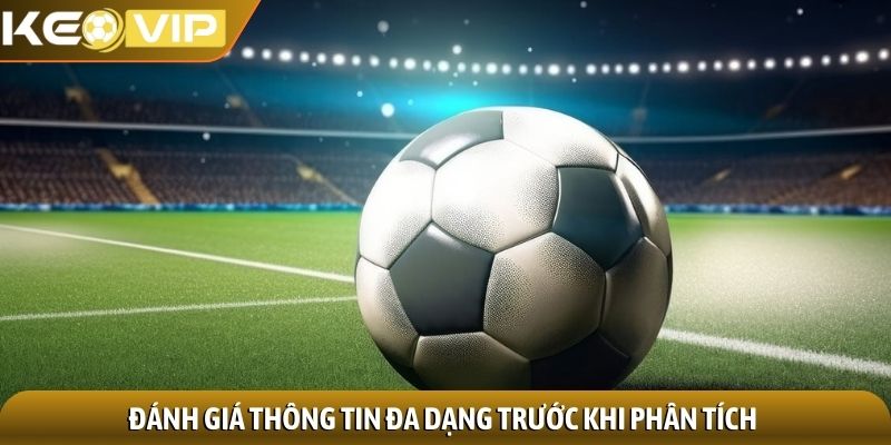 Đánh giá thông tin đa dạng trước khi phân tích