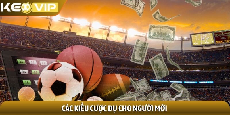 Các kiểu cược dụ cho người mới